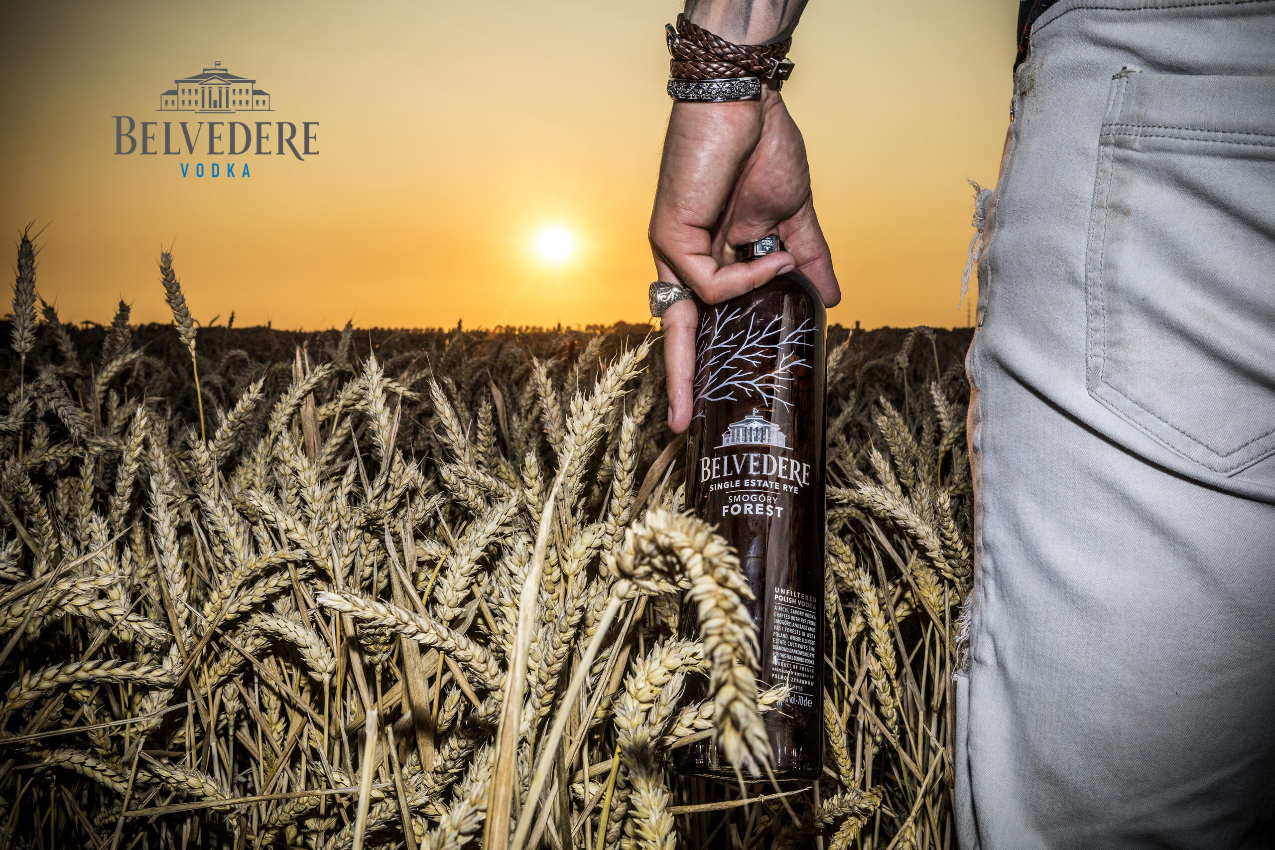 Special Pixels Advertising 01