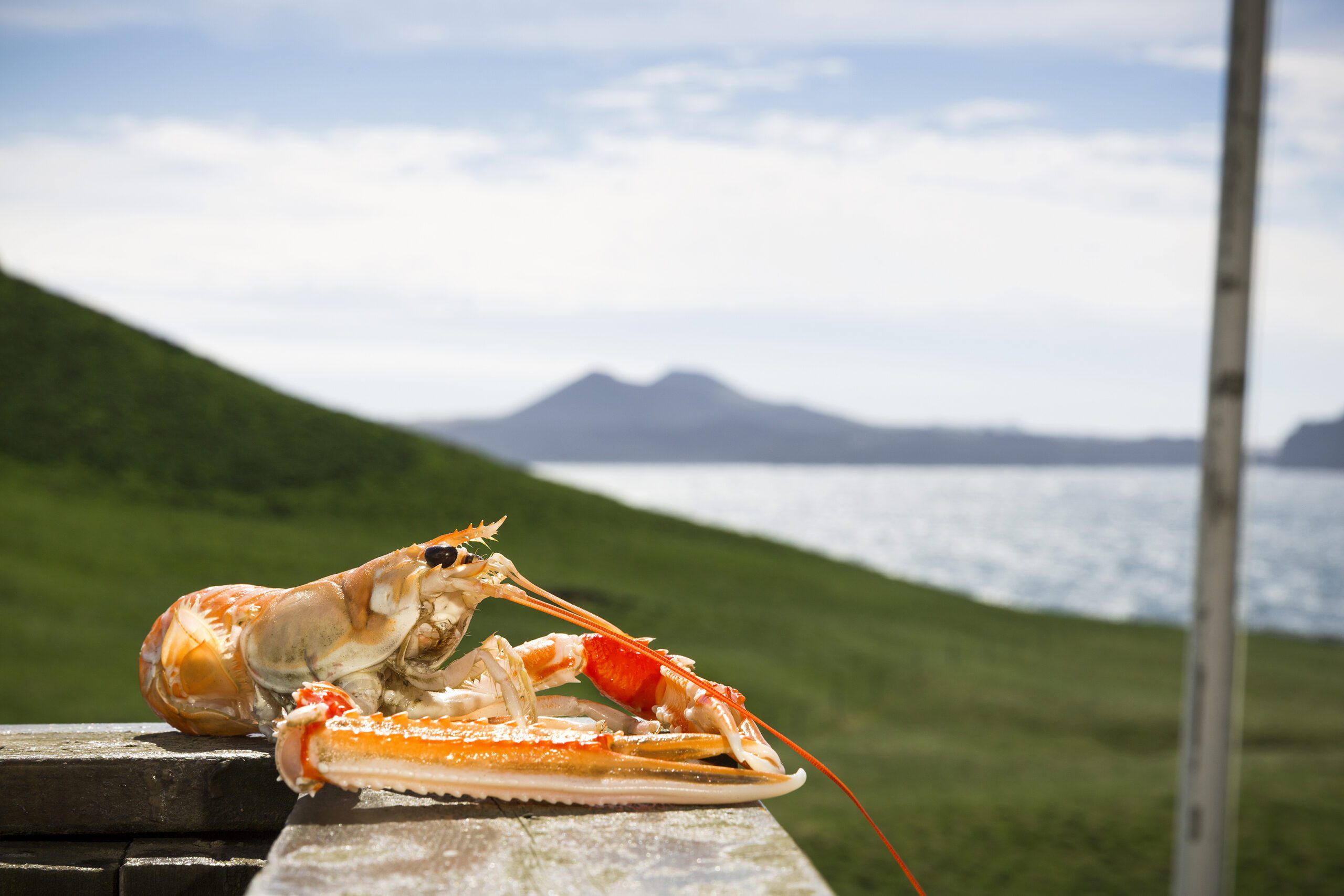 Special Pixels Sfeerfotos 01