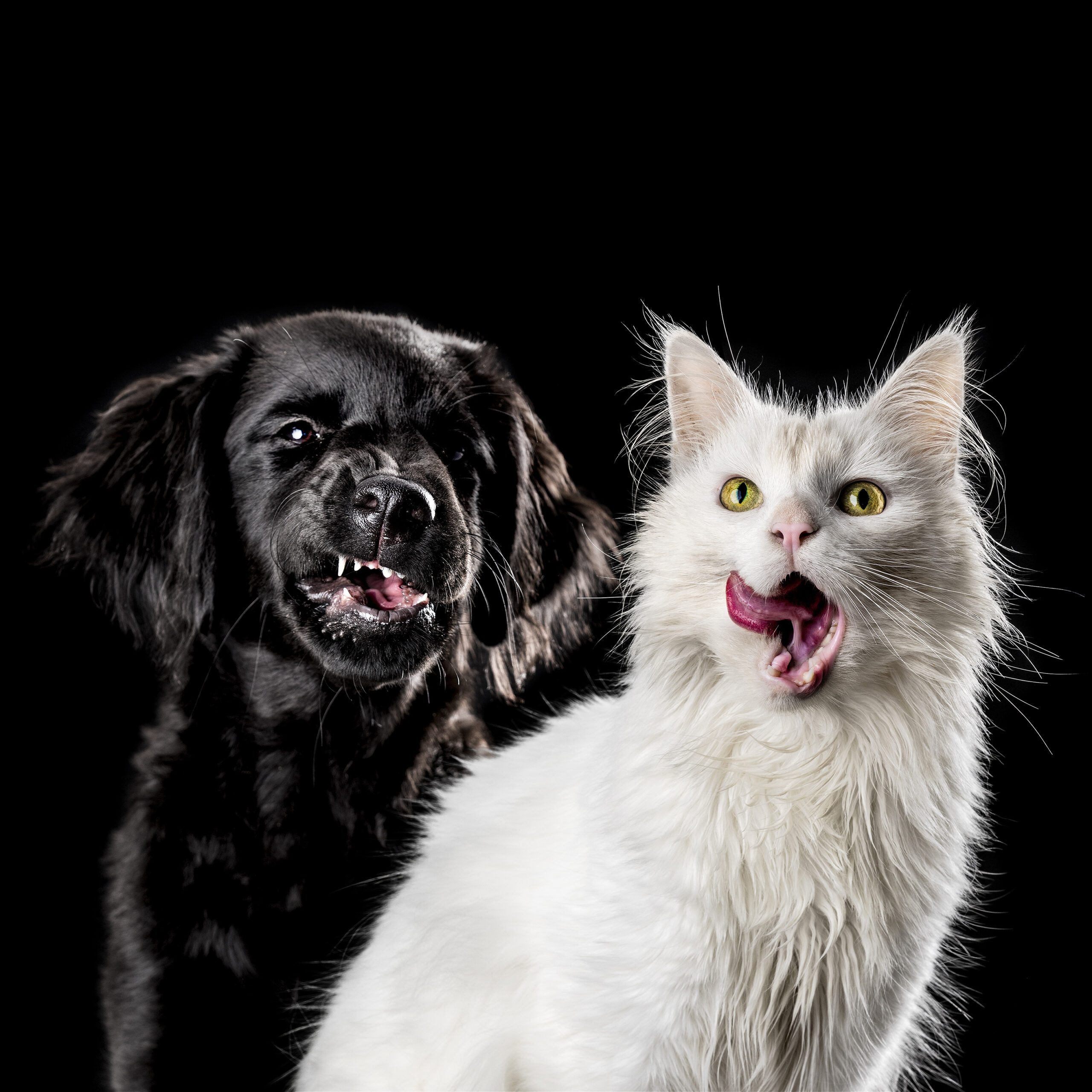 Special Pixels Sfeerfotos 07